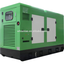 Generador diesel silencioso 30kw Ricardo